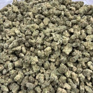 GG4 Smalls