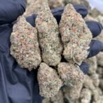 Gelato Breath