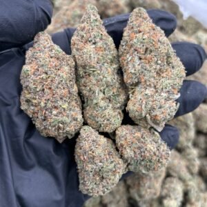 Gelato Breath