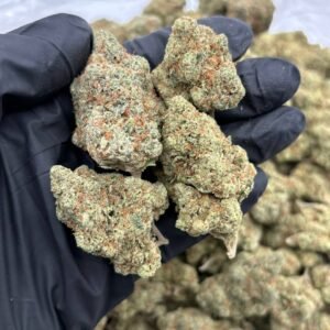 Gas City OG