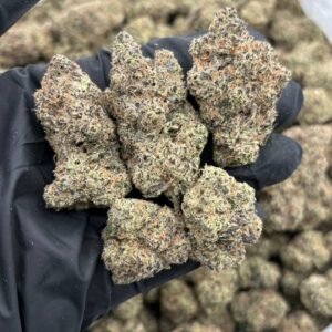 Strawberry Fields