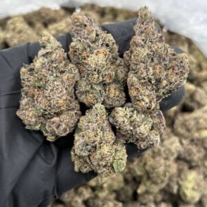 Grape Nerdz