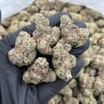 Lemon Cherry Delight #11