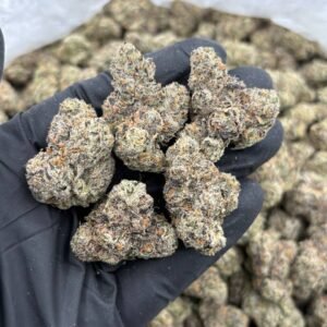 Lemon Cherry Delight #11