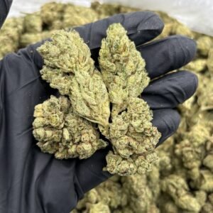 GG4 2179