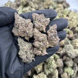 Candy Gas 36C