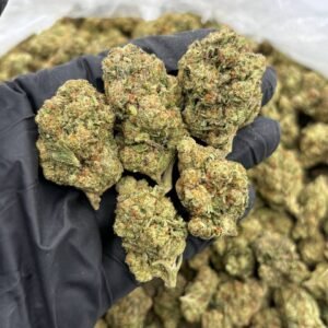 Confidential OG
