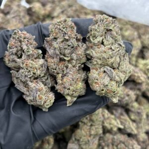 Black Cherry Runtz B57