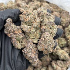 Boof Berry CS6