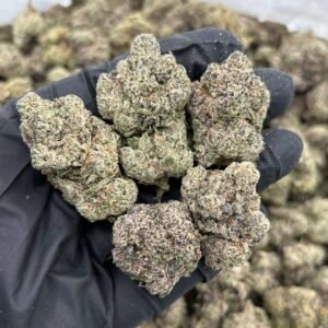 White Cherry Gelato